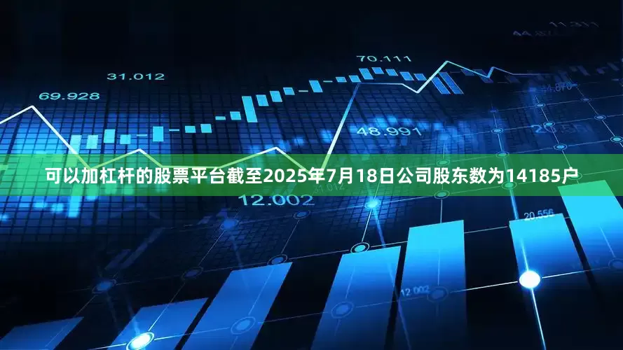 可以加杠杆的股票平台截至2025年7月18日公司股东数为14185户