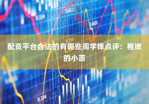 配资平台合法的有哪些周学锋点评：稚嫩的小苗